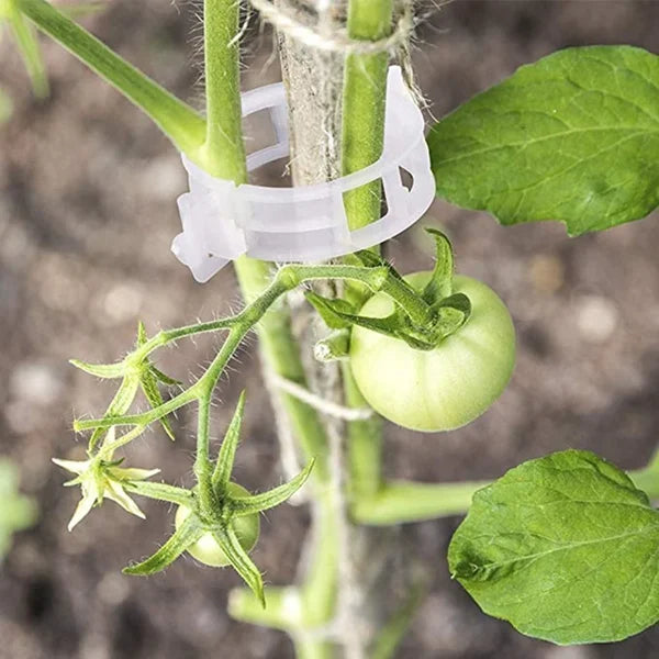 VineClip™ – Återanvändbara Växtclips för Tomater, Gurkor & Klätterväxter