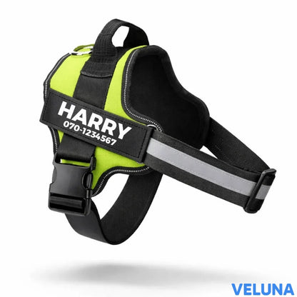DogSafe™ – Personlig Hundsele med Namn & Telefonnummer för Tryggare Promenader