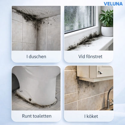 CleanGuard™ Mögelborttagare - Ta bort mögel snabbt — utan hårt skrubbande