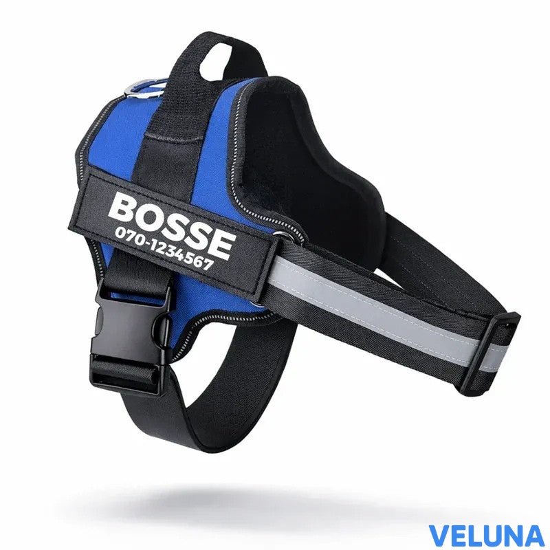 DogSafe™ – Personlig Hundsele med Namn & Telefonnummer för Tryggare Promenader