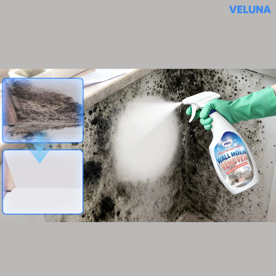 CleanGuard™ Mögelborttagare - Ta bort mögel snabbt — utan hårt skrubbande