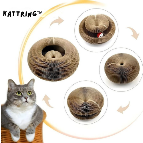 KattRing™ – Den interaktiva klös- och lekringen för nyfikna katter