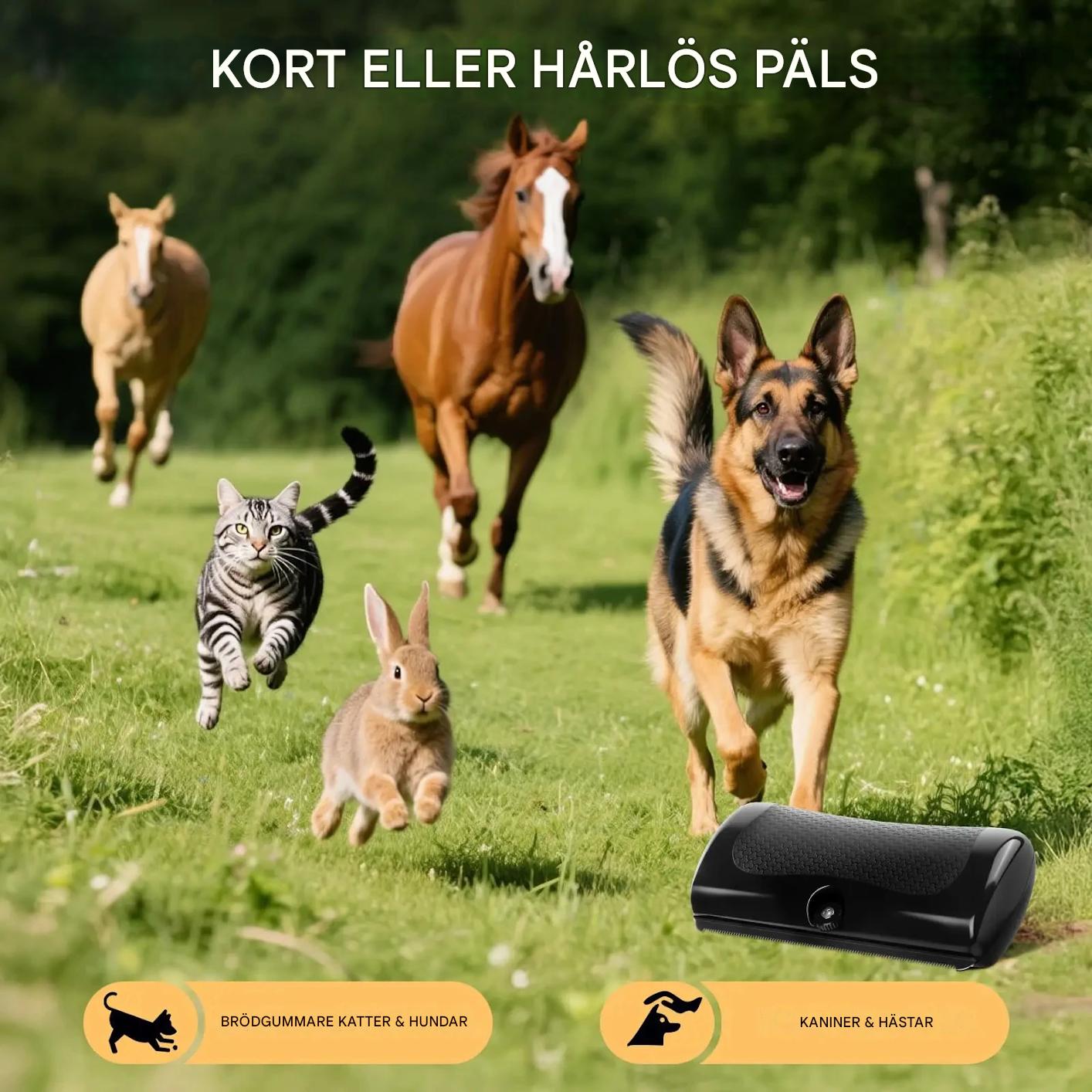 FurFree™ – Hundborste som Effektivt Tar Bort Lös Päls & Minskar Fällning
