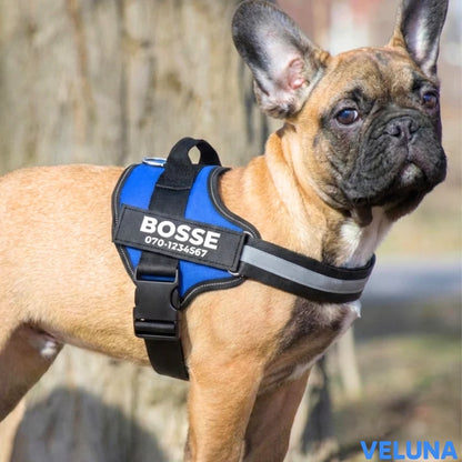 DogSafe™ – Personlig Hundsele med Namn & Telefonnummer för Tryggare Promenader
