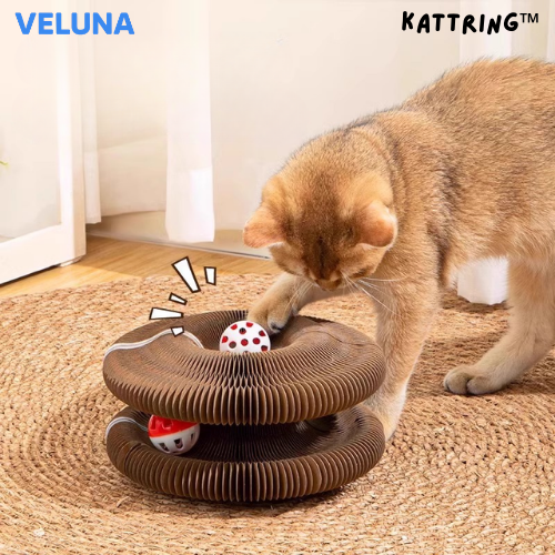 KattRing™ – Den interaktiva klös- och lekringen för nyfikna katter
