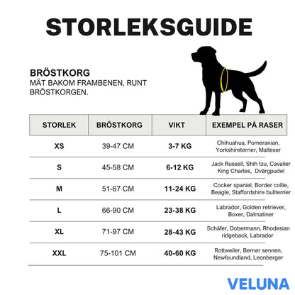 DogSafe™ – Personlig Hundsele med Namn & Telefonnummer för Tryggare Promenader