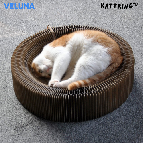 KattRing™ – Den interaktiva klös- och lekringen för nyfikna katter