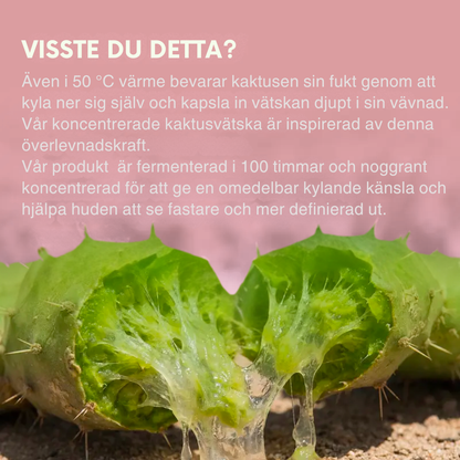 SkinLift™ – Intensiv Halsmask för Fastare Hud & V-Line Effekt