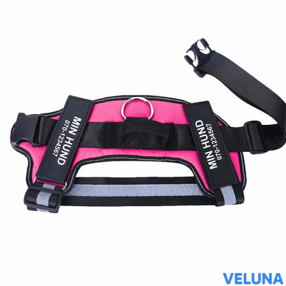 DogSafe™ – Personlig Hundsele med Namn & Telefonnummer för Tryggare Promenader