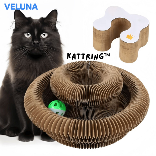KattRing™ – Den interaktiva klös- och lekringen för nyfikna katter