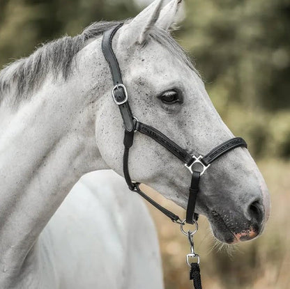 HorseMagic™ – Adventskalender med 12 Lyxiga Överraskningar för Hästälskare