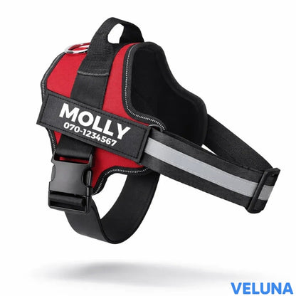DogSafe™ – Personlig Hundsele med Namn & Telefonnummer för Tryggare Promenader