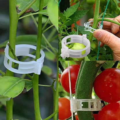 VineClip™ – Återanvändbara Växtclips för Tomater, Gurkor & Klätterväxter