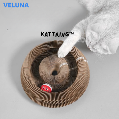 KattRing™ – Den interaktiva klös- och lekringen för nyfikna katter