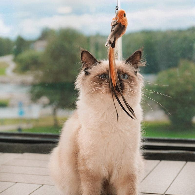 CatPlay™ – Interaktiv Kattleksak som Aktiverar & Underhåller Din Katt