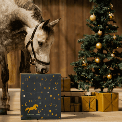 HorseMagic™ – Adventskalender med 12 Lyxiga Överraskningar för Hästälskare