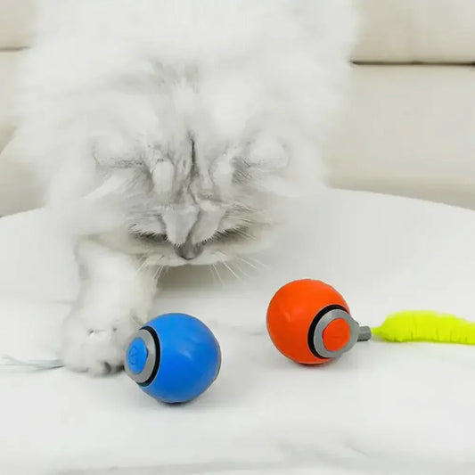 KittyBall™ – Den smarta leksaken som håller din katt lycklig