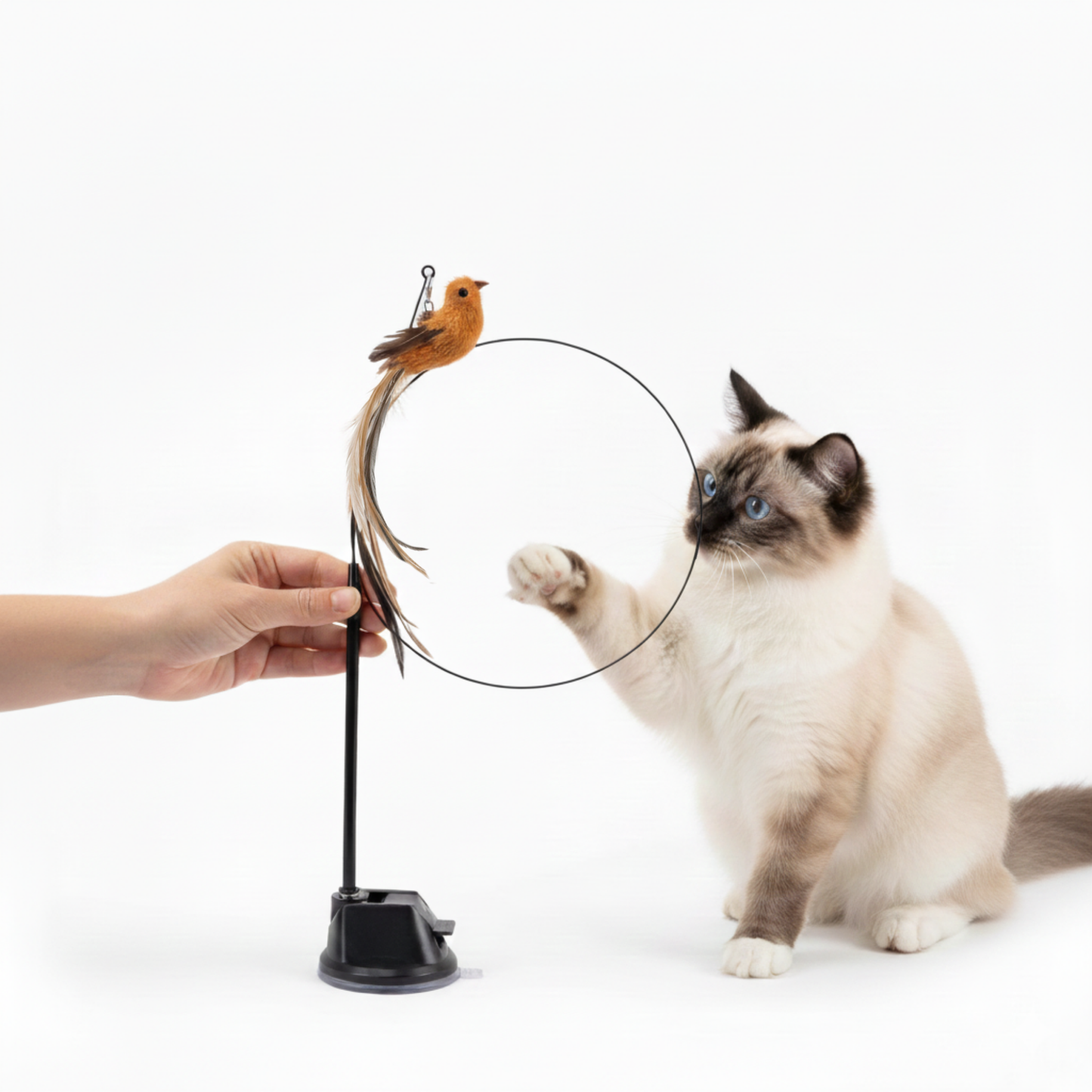 CatPlay™ – Interaktiv Kattleksak som Aktiverar & Underhåller Din Katt