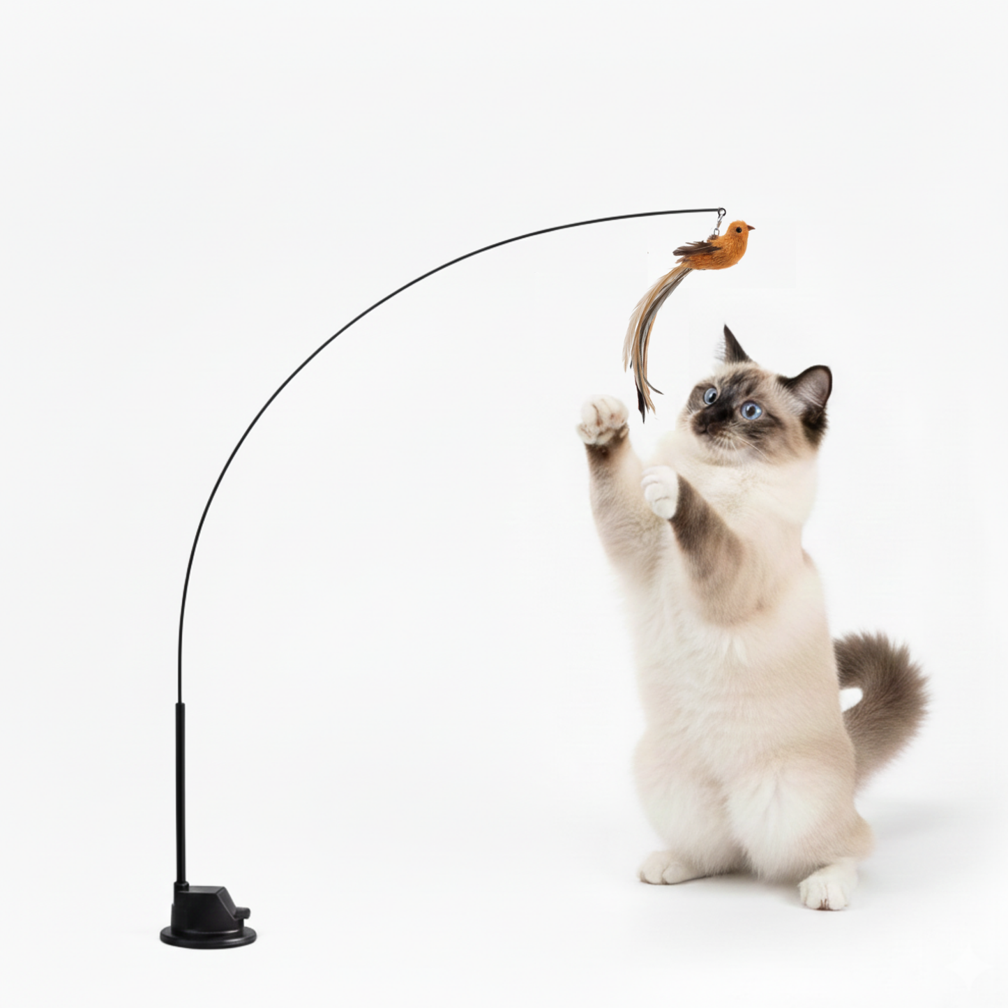 CatPlay™ – Interaktiv Kattleksak som Aktiverar & Underhåller Din Katt