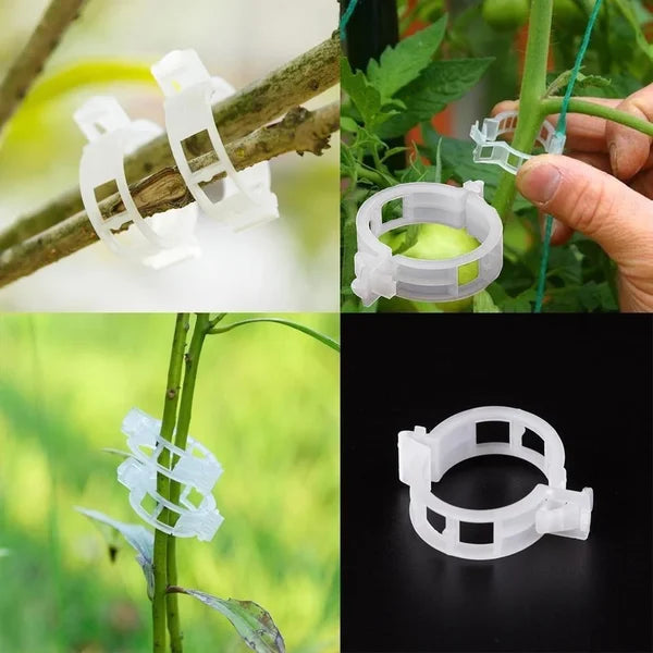 VineClip™ – Återanvändbara Växtclips för Tomater, Gurkor & Klätterväxter