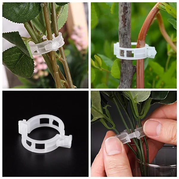 VineClip™ – Återanvändbara Växtclips för Tomater, Gurkor & Klätterväxter