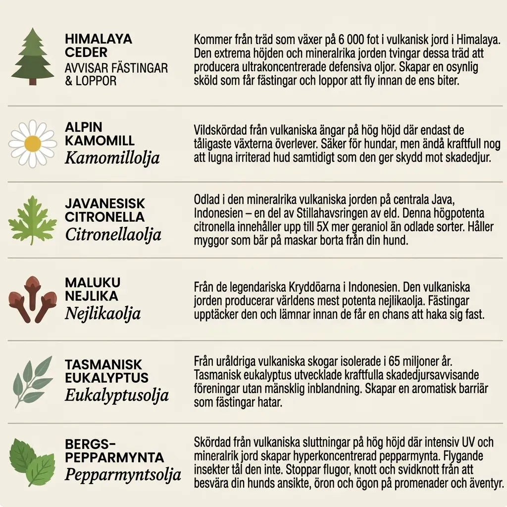 TickGuard™ – Naturligt Skydd mot Fästingar, Loppor & Mygg i Upp till 12 Månader