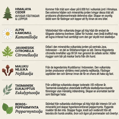 TickGuard™ – Naturligt Skydd mot Fästingar, Loppor & Mygg i Upp till 12 Månader