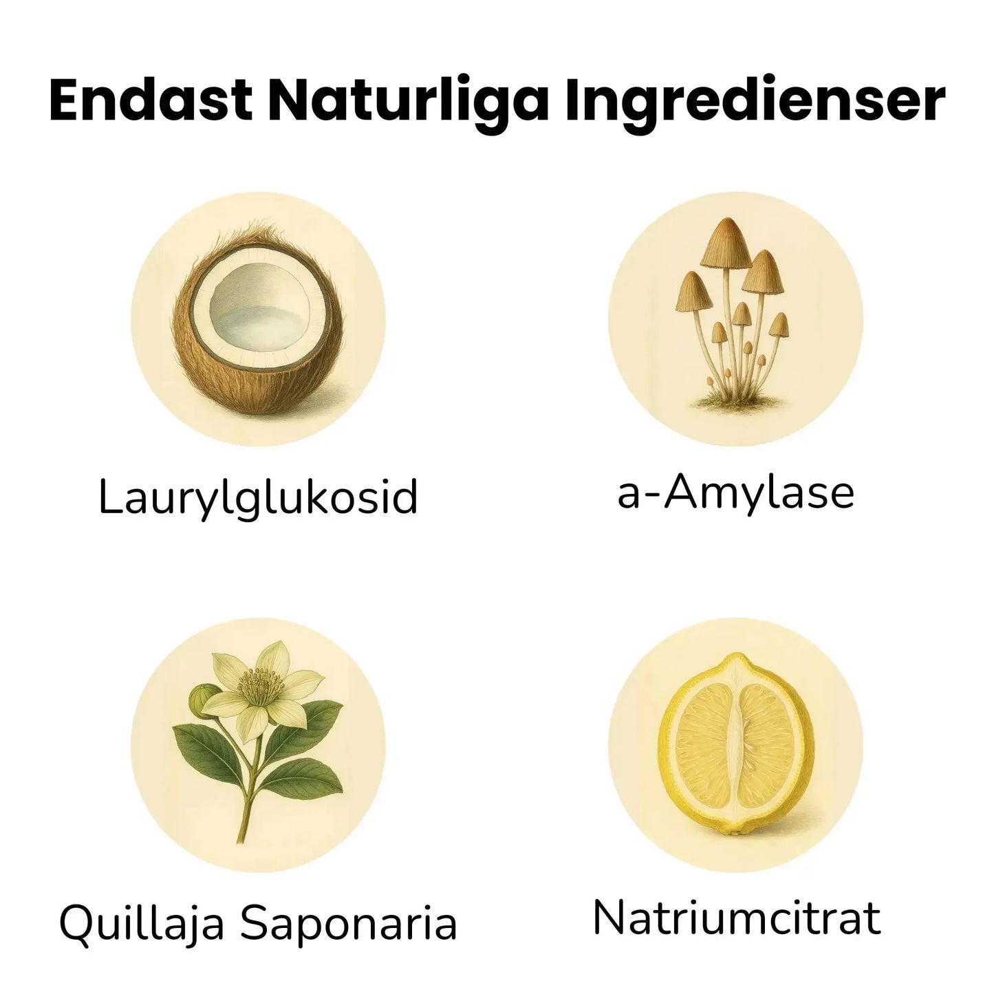 QuickClean™ – Kraftfull rengöring utan skadliga kemikalier