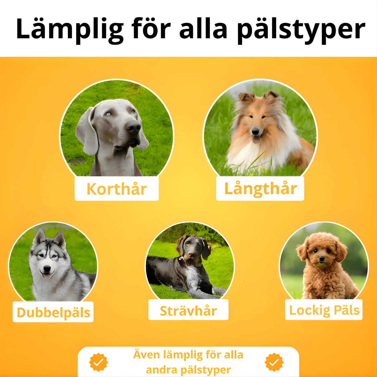 FurFree™ – Hundborste som Effektivt Tar Bort Lös Päls & Minskar Fällning